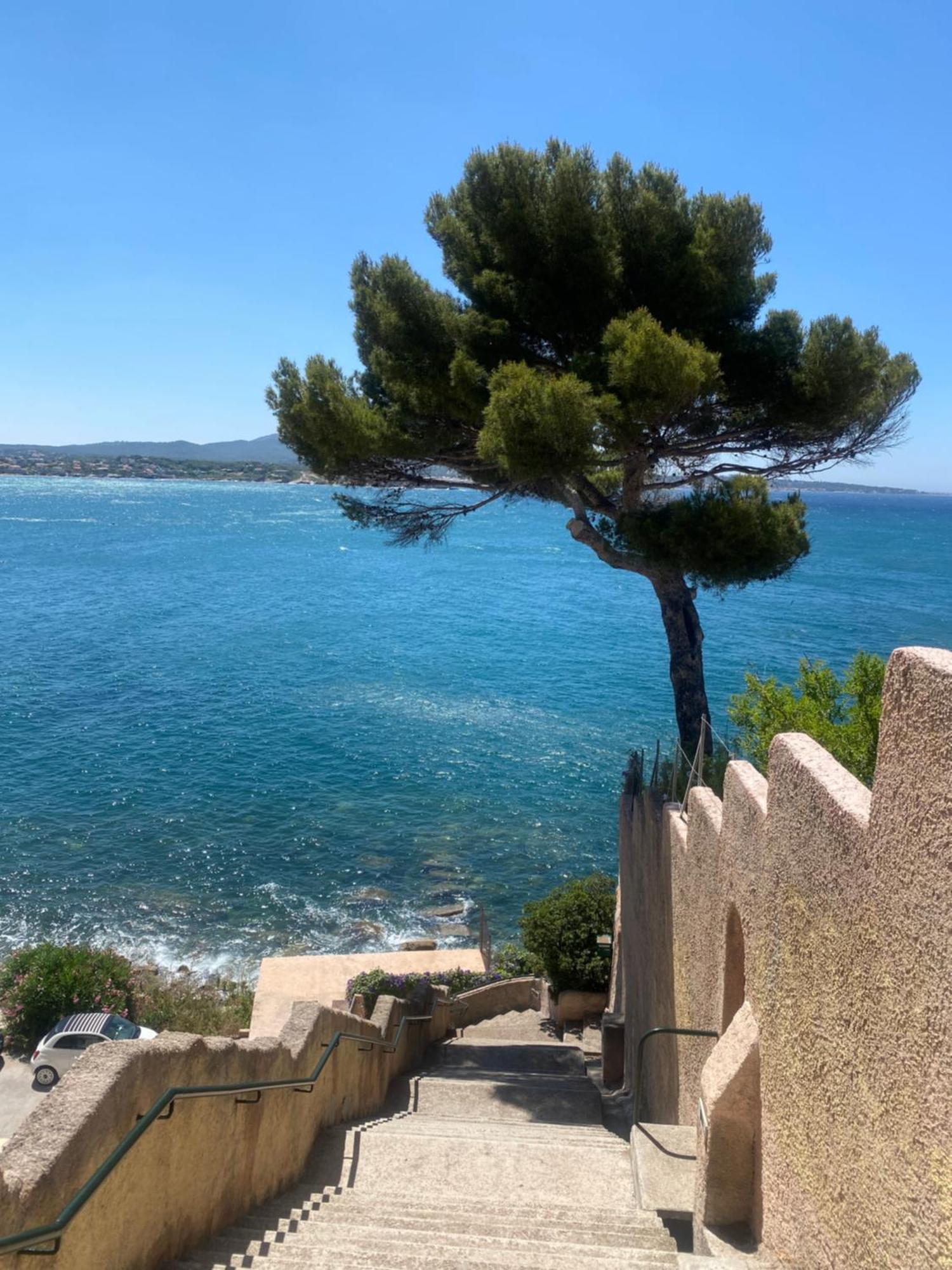 Casa Paloma Apartment Sanary-sur-Mer Luaran gambar